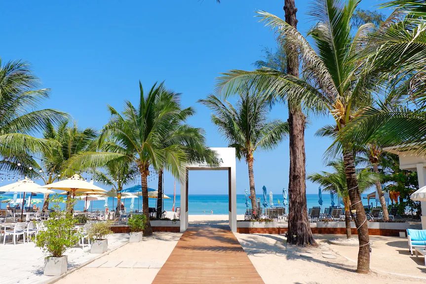 Beach entrance through the palms